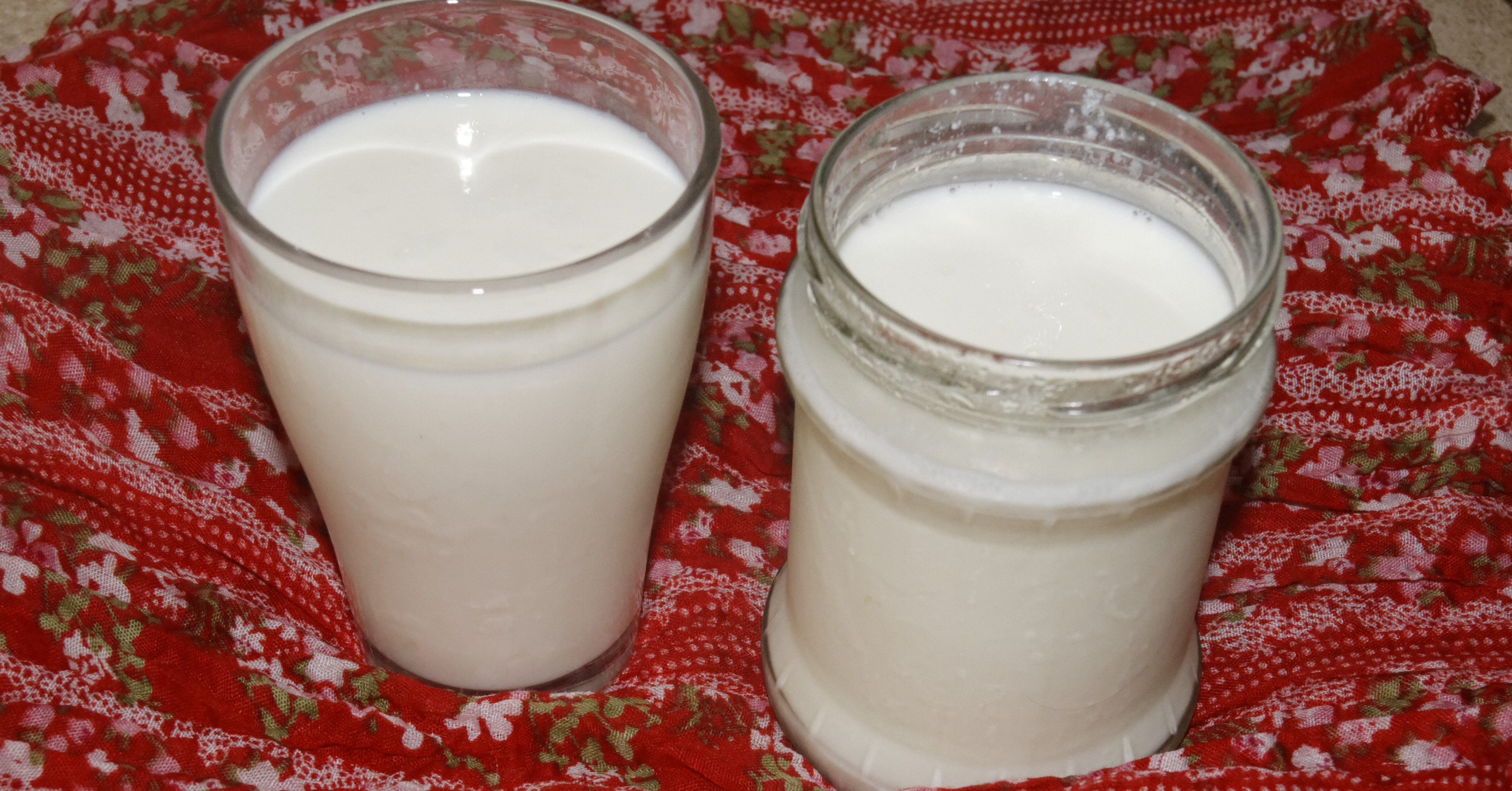 Domowy jogurt z mleka krowiego